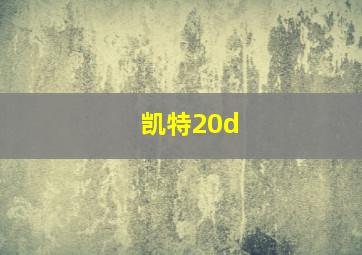 凯特20d