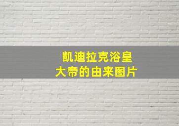 凯迪拉克浴皇大帝的由来图片