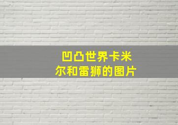 凹凸世界卡米尔和雷狮的图片