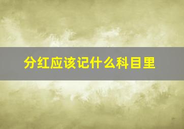 分红应该记什么科目里