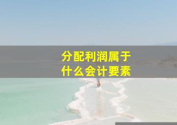 分配利润属于什么会计要素