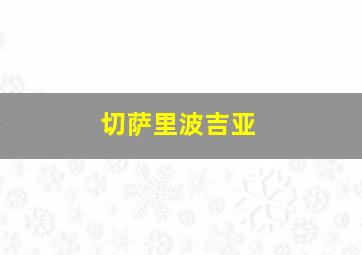 切萨里波吉亚