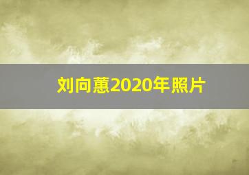 刘向蕙2020年照片