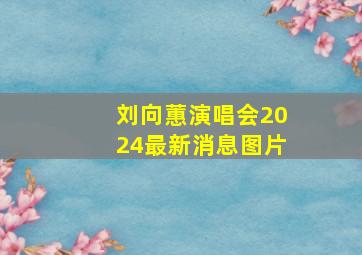 刘向蕙演唱会2024最新消息图片