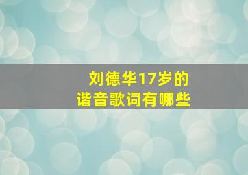 刘德华17岁的谐音歌词有哪些