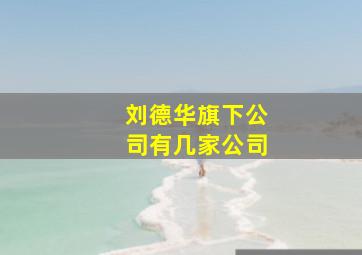 刘德华旗下公司有几家公司