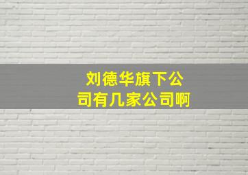 刘德华旗下公司有几家公司啊