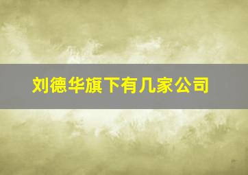 刘德华旗下有几家公司