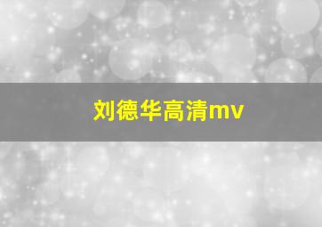 刘德华高清mv