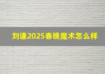 刘谦2025春晚魔术怎么样