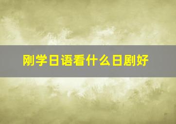 刚学日语看什么日剧好