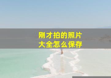 刚才拍的照片大全怎么保存