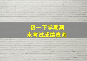 初一下学期期末考试成绩查询