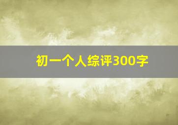 初一个人综评300字