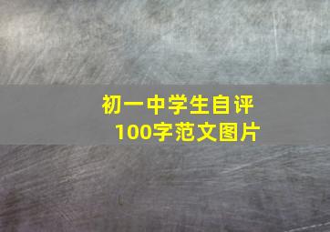 初一中学生自评100字范文图片