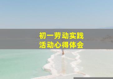 初一劳动实践活动心得体会