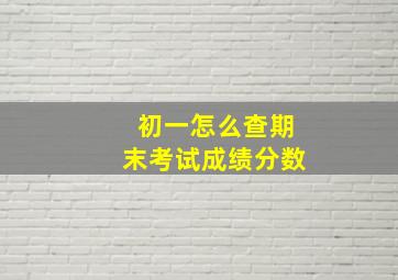 初一怎么查期末考试成绩分数