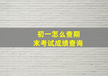 初一怎么查期末考试成绩查询