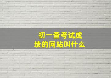 初一查考试成绩的网站叫什么