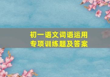 初一语文词语运用专项训练题及答案