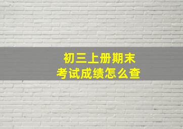 初三上册期末考试成绩怎么查