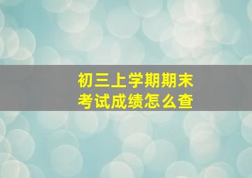 初三上学期期末考试成绩怎么查