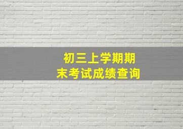 初三上学期期末考试成绩查询