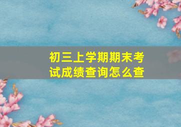 初三上学期期末考试成绩查询怎么查