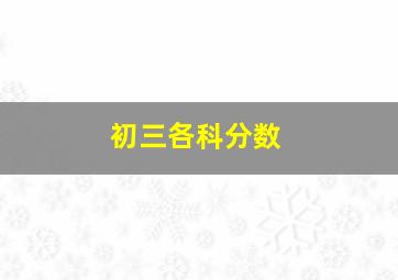 初三各科分数