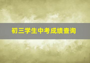 初三学生中考成绩查询