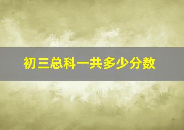 初三总科一共多少分数