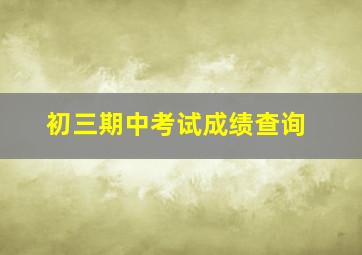 初三期中考试成绩查询