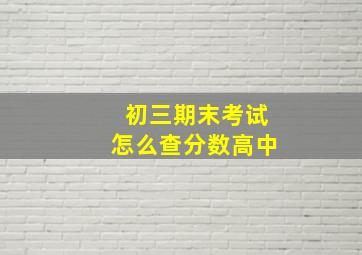 初三期末考试怎么查分数高中