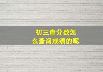 初三查分数怎么查询成绩的呢