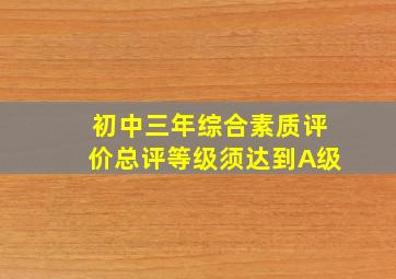 初中三年综合素质评价总评等级须达到A级