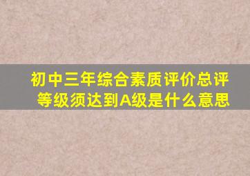 初中三年综合素质评价总评等级须达到A级是什么意思