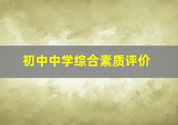 初中中学综合素质评价