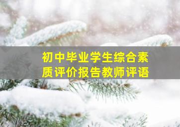 初中毕业学生综合素质评价报告教师评语