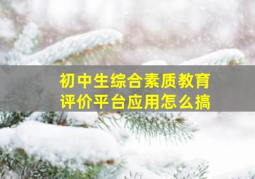 初中生综合素质教育评价平台应用怎么搞