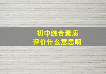 初中综合素质评价什么意思啊