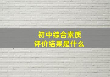 初中综合素质评价结果是什么