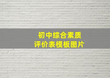 初中综合素质评价表模板图片