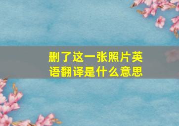 删了这一张照片英语翻译是什么意思