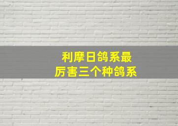 利摩日鸽系最厉害三个种鸽系