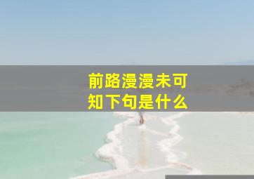 前路漫漫未可知下句是什么