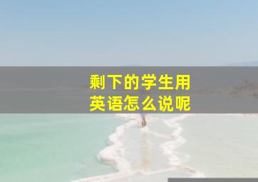 剩下的学生用英语怎么说呢