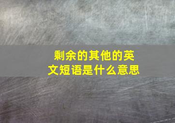 剩余的其他的英文短语是什么意思