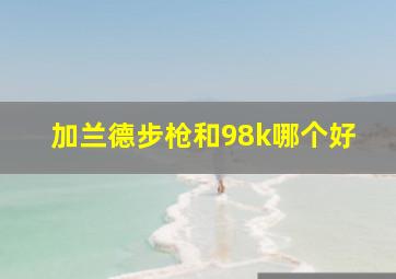 加兰德步枪和98k哪个好