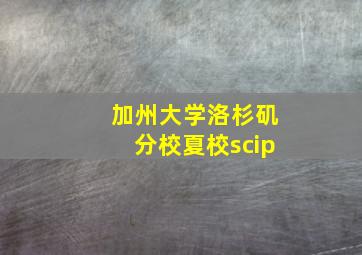 加州大学洛杉矶分校夏校scip