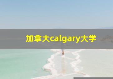 加拿大calgary大学